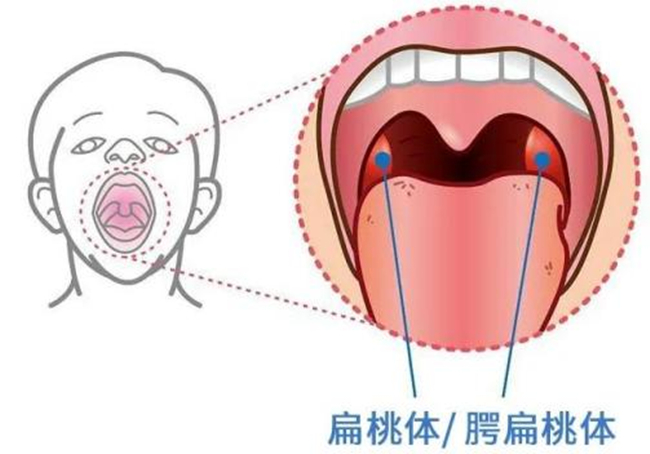 圖片2.jpg